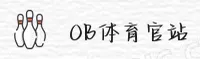使用指南与常见问题
